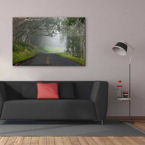 Image of 'Foggy Road near Dillon Beach' by Mike Jones, Giclee Canvas Wall Art,60 x 40