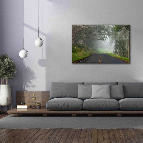 Image of 'Foggy Road near Dillon Beach' by Mike Jones, Giclee Canvas Wall Art,60 x 40