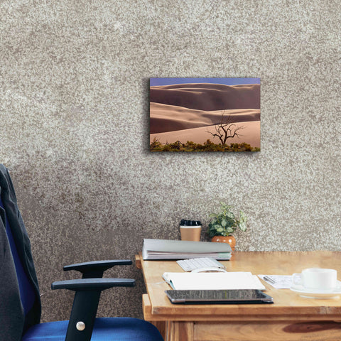 Image of 'Great Sand Dunes NP Tree' by Mike Jones, Giclee Canvas Wall Art,18 x 12
