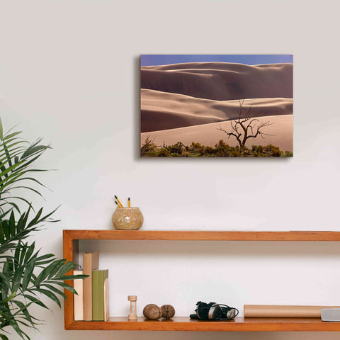 Image of 'Great Sand Dunes NP Tree' by Mike Jones, Giclee Canvas Wall Art,18 x 12