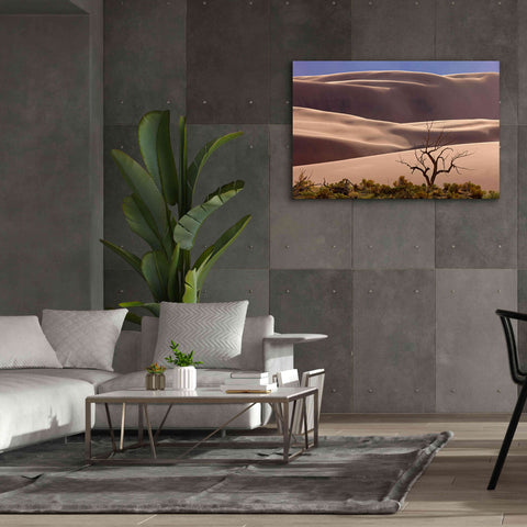 Image of 'Great Sand Dunes NP Tree' by Mike Jones, Giclee Canvas Wall Art,60 x 40