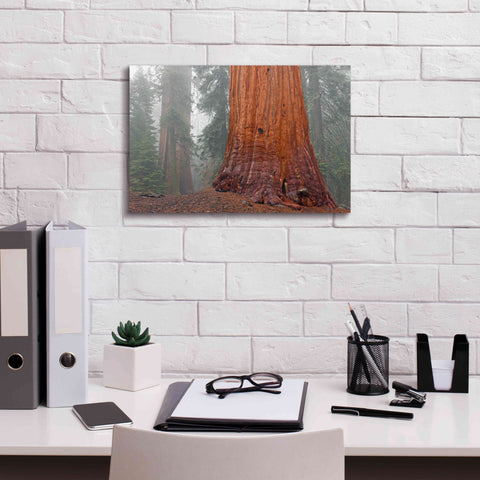 Image of 'Kings Canyon' by Mike Jones, Giclee Canvas Wall Art,18 x 12