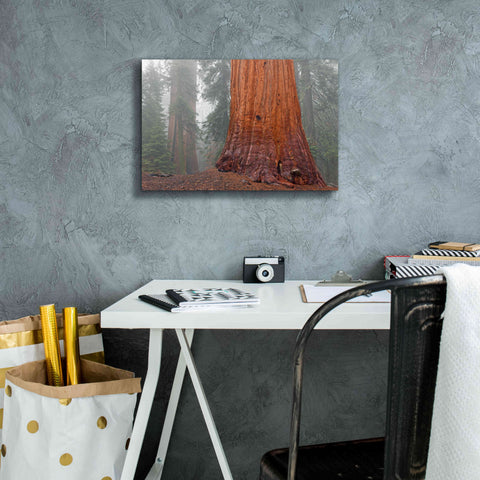 Image of 'Kings Canyon' by Mike Jones, Giclee Canvas Wall Art,18 x 12