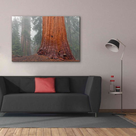 Image of 'Kings Canyon' by Mike Jones, Giclee Canvas Wall Art,60 x 40