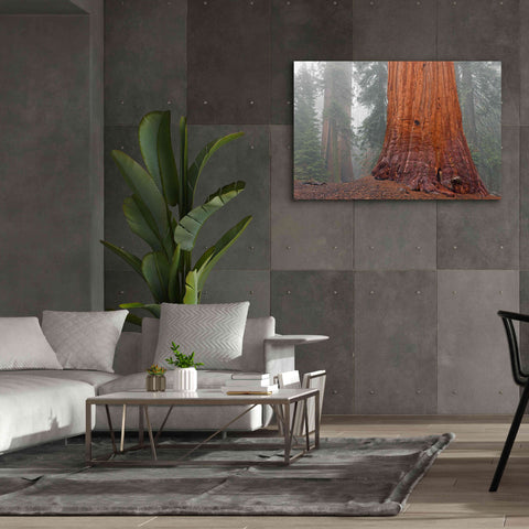 Image of 'Kings Canyon' by Mike Jones, Giclee Canvas Wall Art,60 x 40