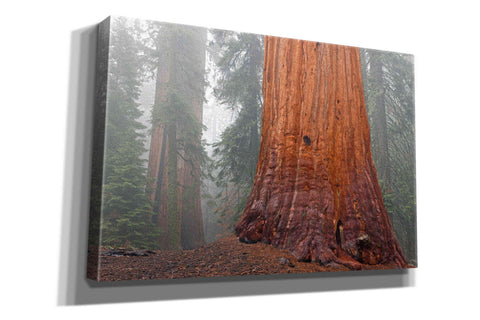 Image of 'Kings Canyon' by Mike Jones, Giclee Canvas Wall Art