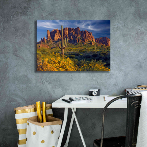 Image of 'Lost Dutchman flowers' by Mike Jones, Giclee Canvas Wall Art,26 x 18