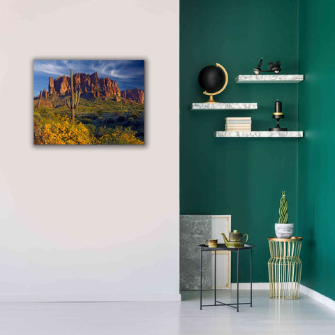 Image of 'Lost Dutchman flowers' by Mike Jones, Giclee Canvas Wall Art,34 x 26