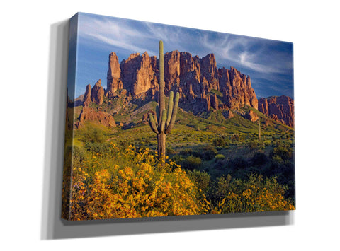 Image of 'Lost Dutchman flowers' by Mike Jones, Giclee Canvas Wall Art