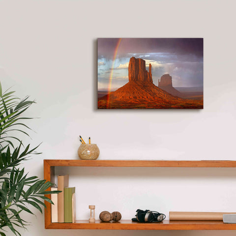 Image of 'Mittens Rainbow' by Mike Jones, Giclee Canvas Wall Art,18 x 12