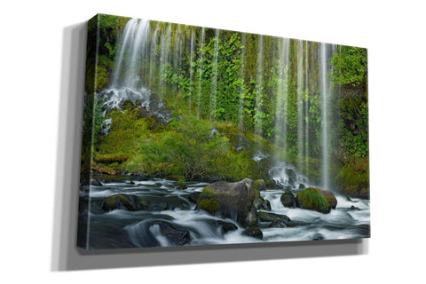 Image of 'Mossbrae Falls' by Mike Jones, Giclee Canvas Wall Art