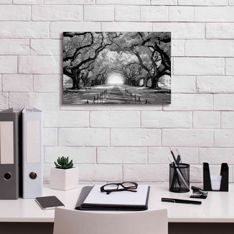 Image of 'Oak Alley inf CHECK' by Mike Jones, Giclee Canvas Wall Art,18 x 12