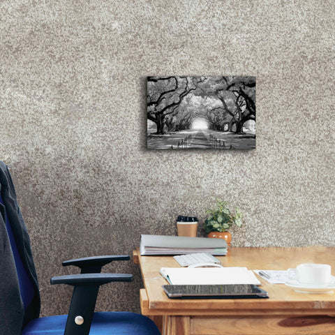 Image of 'Oak Alley inf CHECK' by Mike Jones, Giclee Canvas Wall Art,18 x 12