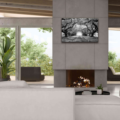 Image of 'Oak Alley inf CHECK' by Mike Jones, Giclee Canvas Wall Art,40 x 26