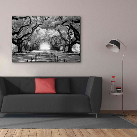 Image of 'Oak Alley inf CHECK' by Mike Jones, Giclee Canvas Wall Art,60 x 40