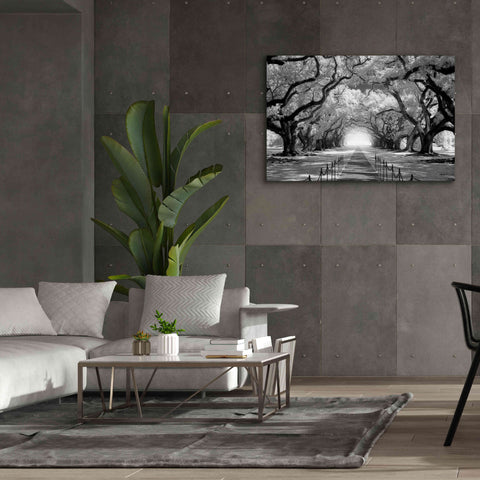 Image of 'Oak Alley inf CHECK' by Mike Jones, Giclee Canvas Wall Art,60 x 40