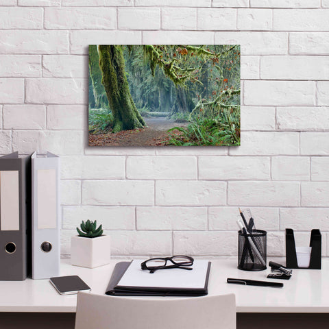 Image of 'Olympic NP Trail' by Mike Jones, Giclee Canvas Wall Art,18 x 12