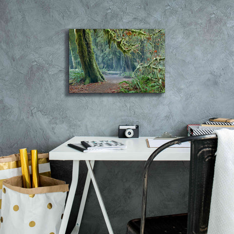 Image of 'Olympic NP Trail' by Mike Jones, Giclee Canvas Wall Art,18 x 12