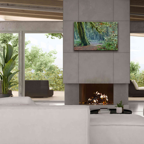 Image of 'Olympic NP Trail' by Mike Jones, Giclee Canvas Wall Art,40 x 26