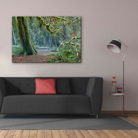 Image of 'Olympic NP Trail' by Mike Jones, Giclee Canvas Wall Art,60 x 40