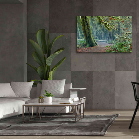 Image of 'Olympic NP Trail' by Mike Jones, Giclee Canvas Wall Art,60 x 40