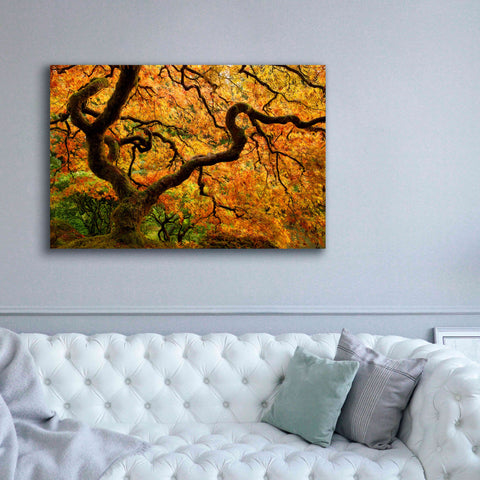 Image of 'Portland Japanese Garden' by Mike Jones, Giclee Canvas Wall Art,60 x 40