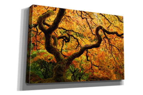 Image of 'Portland Japanese Garden' by Mike Jones, Giclee Canvas Wall Art
