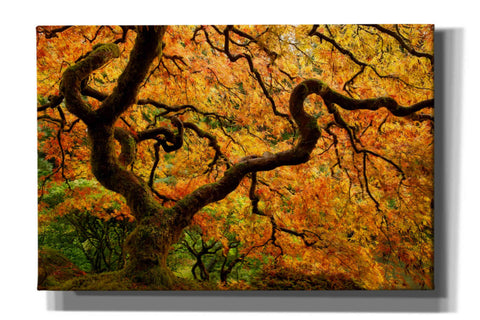 Image of 'Portland Japanese Garden' by Mike Jones, Giclee Canvas Wall Art