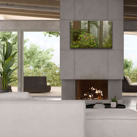 Image of 'Redwood Fog Rhododendrons' by Mike Jones, Giclee Canvas Wall Art,40 x 26