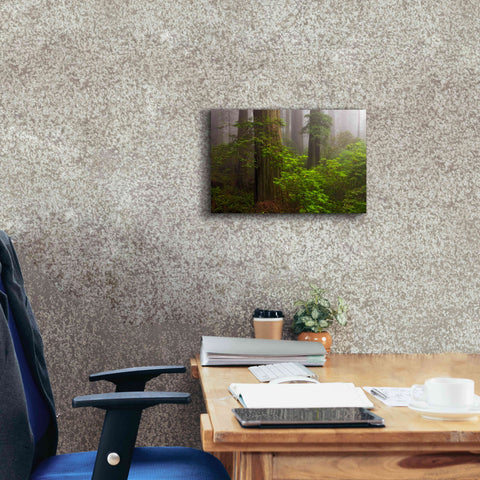 Image of 'Redwoods Fog' by Mike Jones, Giclee Canvas Wall Art,18 x 12