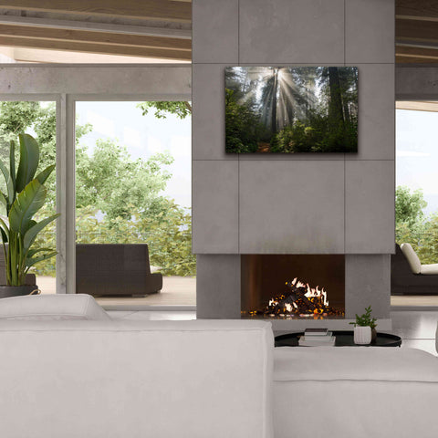 Image of 'Redwoods NP Ladybird Johnson Lightbeams' by Mike Jones, Giclee Canvas Wall Art,40 x 26