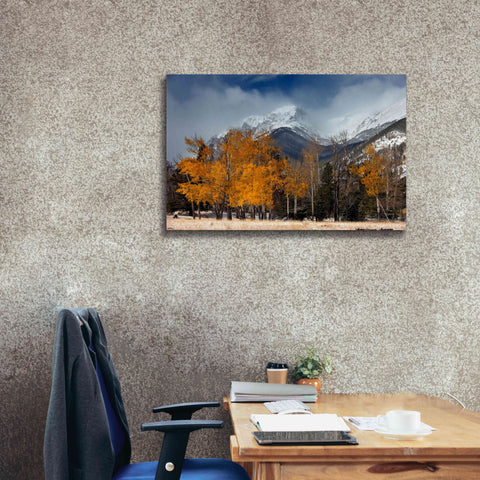Image of 'RMNP Aspens and Storm Clouds' by Mike Jones, Giclee Canvas Wall Art,40 x 26