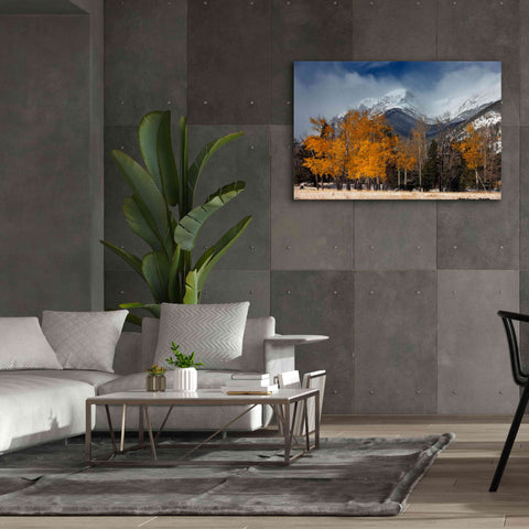 Image of 'RMNP Aspens and Storm Clouds' by Mike Jones, Giclee Canvas Wall Art,60 x 40