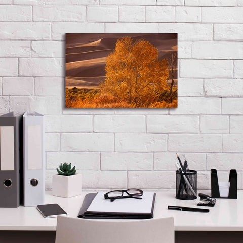 Image of 'Sand Dunes NP' by Mike Jones, Giclee Canvas Wall Art,18 x 12