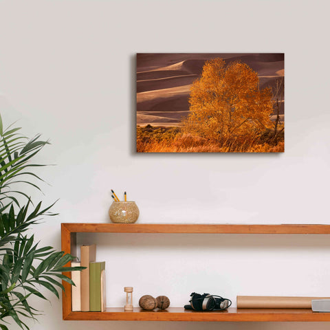 Image of 'Sand Dunes NP' by Mike Jones, Giclee Canvas Wall Art,18 x 12