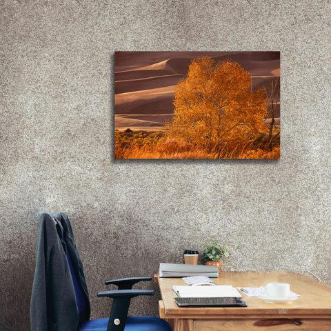 Image of 'Sand Dunes NP' by Mike Jones, Giclee Canvas Wall Art,40 x 26