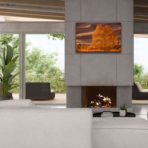 Image of 'Sand Dunes NP' by Mike Jones, Giclee Canvas Wall Art,40 x 26