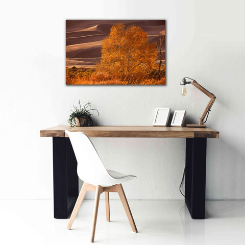 Image of 'Sand Dunes NP' by Mike Jones, Giclee Canvas Wall Art,40 x 26