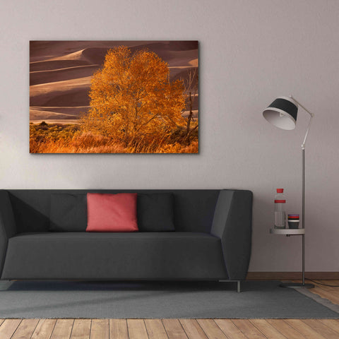 Image of 'Sand Dunes NP' by Mike Jones, Giclee Canvas Wall Art,60 x 40