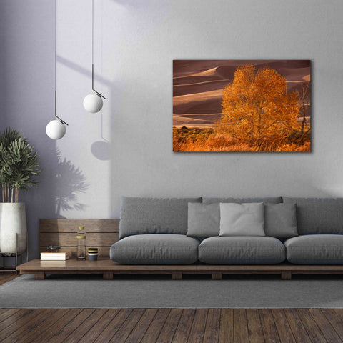 Image of 'Sand Dunes NP' by Mike Jones, Giclee Canvas Wall Art,60 x 40
