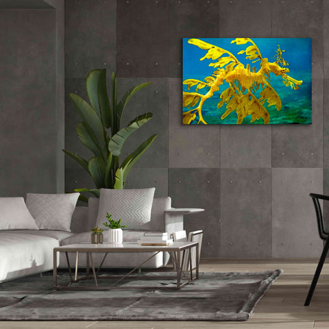 Image of 'Sea Dragon' by Mike Jones, Giclee Canvas Wall Art,60 x 40