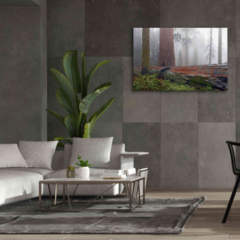 Image of 'Sequoia Fallen Giant' by Mike Jones, Giclee Canvas Wall Art,60 x 40