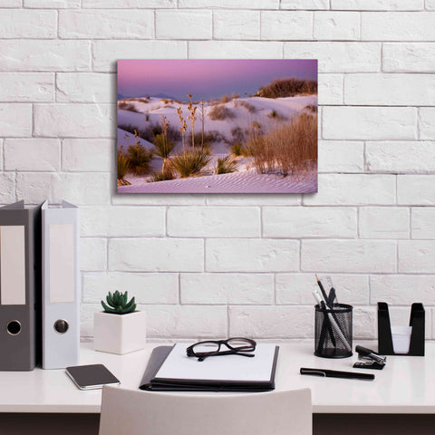 Image of 'White Sands Dusk' by Mike Jones, Giclee Canvas Wall Art,18 x 12