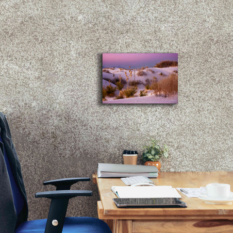 Image of 'White Sands Dusk' by Mike Jones, Giclee Canvas Wall Art,18 x 12