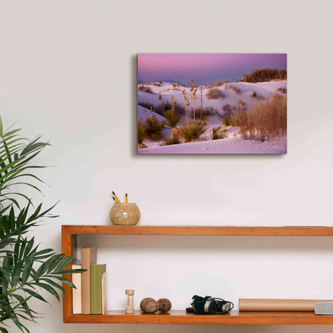 Image of 'White Sands Dusk' by Mike Jones, Giclee Canvas Wall Art,18 x 12