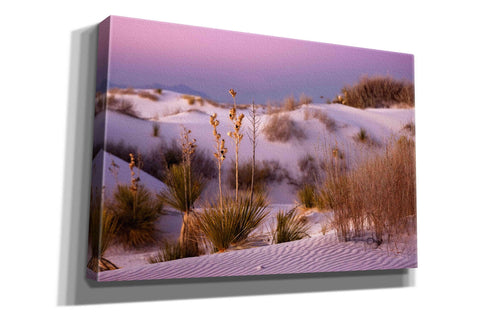 Image of 'White Sands Dusk' by Mike Jones, Giclee Canvas Wall Art