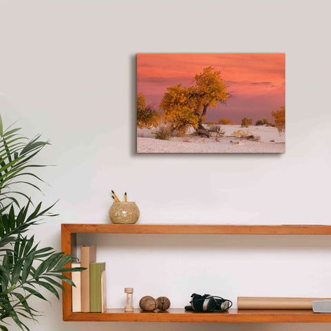 Image of 'White Sands Yellow Tree' by Mike Jones, Giclee Canvas Wall Art,18 x 12