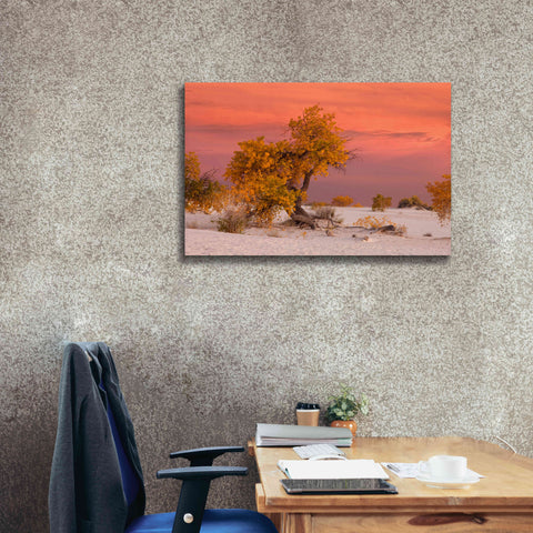 Image of 'White Sands Yellow Tree' by Mike Jones, Giclee Canvas Wall Art,40 x 26