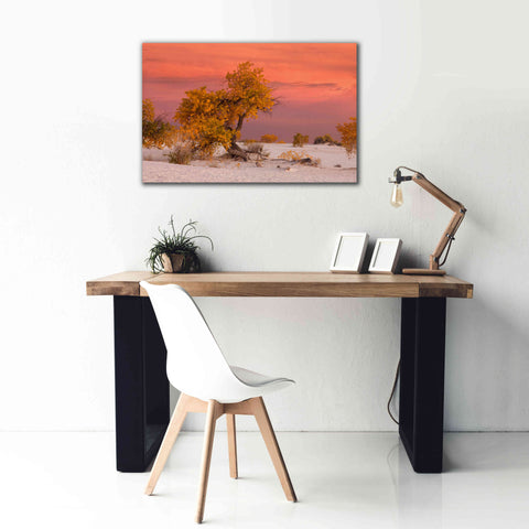 Image of 'White Sands Yellow Tree' by Mike Jones, Giclee Canvas Wall Art,40 x 26