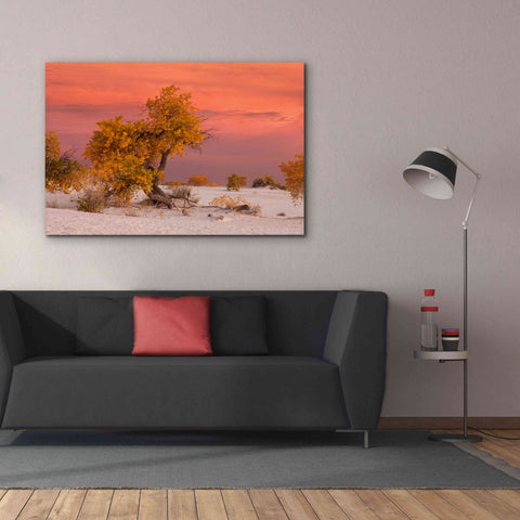 Image of 'White Sands Yellow Tree' by Mike Jones, Giclee Canvas Wall Art,60 x 40